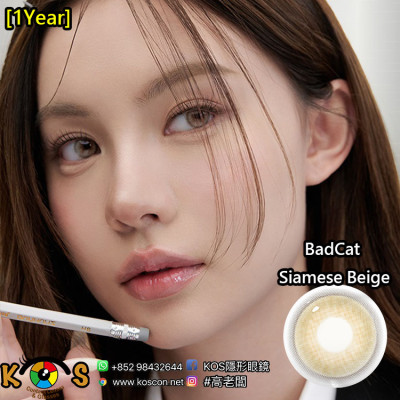 [1Year]I-DOL URIA BadCat Siamese Beige 배드캣 샴 베이지